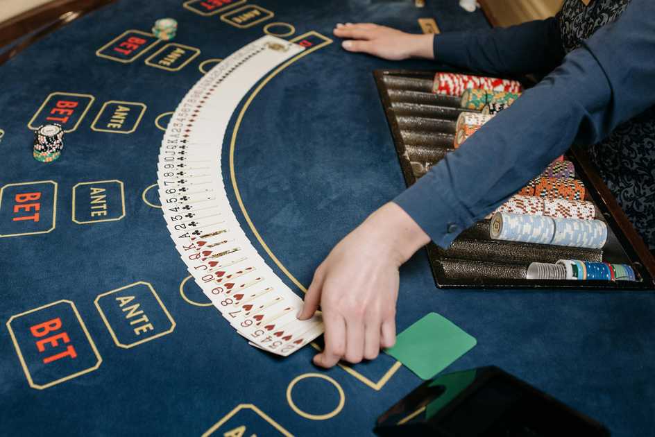 Why Choose Wildcard Casino: Your Ultimate Guide to Online Gaming Fun